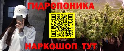 ГАЛЛЮЦИНОГЕННЫЕ ГРИБЫ Будённовск