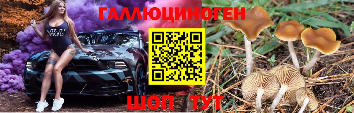 Галлюциногенные грибы MAGIC MUSHROOMS  Вход с VPN  Печора 